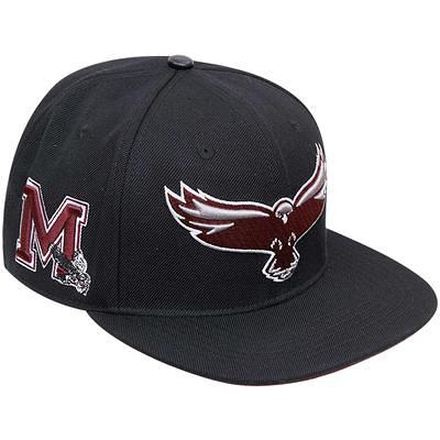 Men's Pro Standard Gray North Carolina Central Eagles Evergreen Mascot Snapback  Hat