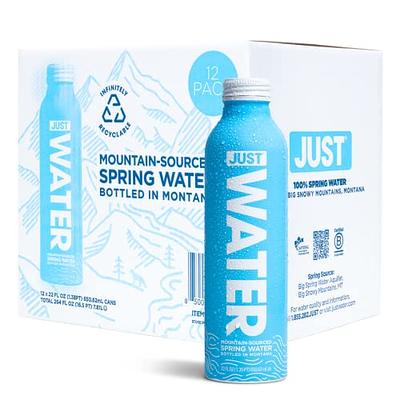  TEN Alkaline Spring Water, pH 10, High in Electrolytes, 16.9 Fl  Oz (Pack of 24) : Grocery & Gourmet Food