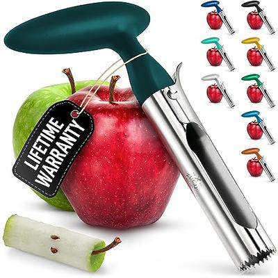 Apple Corer and Divider Stainless Steel Mango Splitters Fruits