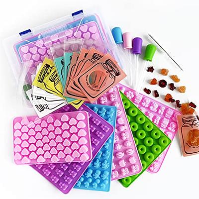 Silicone Edible Gummy Molds Kit with Droppers