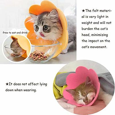 Lanyihome Cat Recovery Collar - Cute Flower Neck Cat Cones After