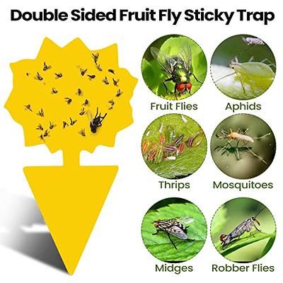 20 Pack Fruit Fly Traps Yellow Sticky Traps Indoor Outdoor Gnat Plant Bug  Killer