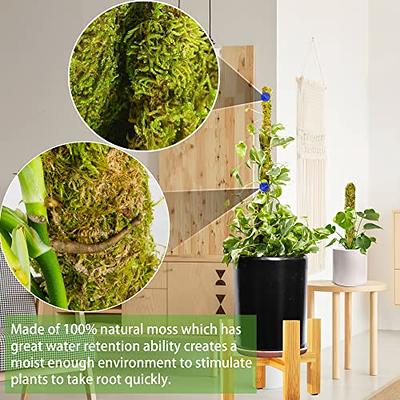 Moss Pole,Moss Pole for Plants Monstera,2 Pack Extending to 27inch Natural  Forest Moss Poles for Climbing Plants,Plant Poles for Potted Plants Indoor, Moss Stick Used Separately or Joined Together.… - Yahoo Shopping