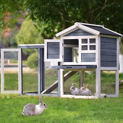 Hornsey Small Animal Portable Cage with Ramp