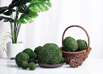 Decorative Moss Balls Set of 2