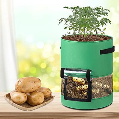 6 Pack 10 Gallon Potato Grow Bags with Flap Window, Garden Planting Bag  with Durable Handle, Plant Pots for Tomato, Vegetable and Fruits