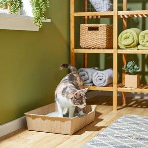 frisco cat litter box