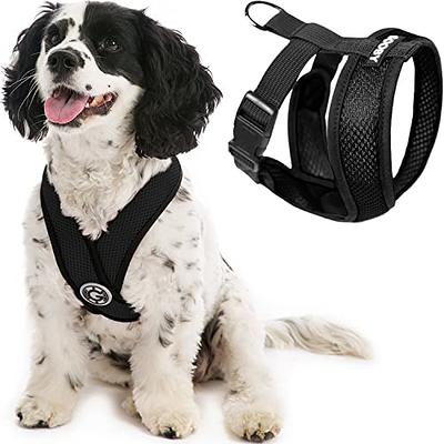 Gooby small hot sale dog harness