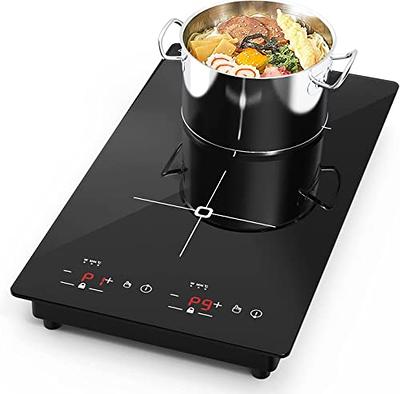 Portable Induction Cooktop, Electric Hot Plate, Programmable Single Burner  with
