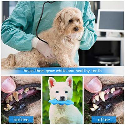 Chew toys for puppies teething small dogs/| 18 Pack Dog Teeth Cleaning Chew  Toys/ Puppy Chew Toys/ Puppy Teething Toys including Puppy Chews, Rope Dog