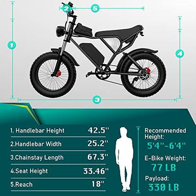 Electric Bike for Adults, 20 in. Fat Tire E-Bike, 1000-Watt 30MPH