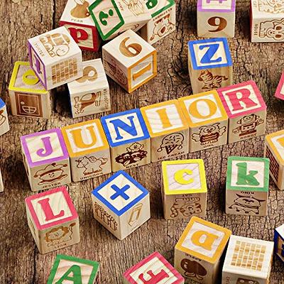 6 Inch Baby Block Letters 1 Block Large Wooden Alphabet Blocks