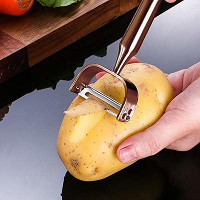 Electric Potato Peeler 2-Blades Automatic Rotating Fruits