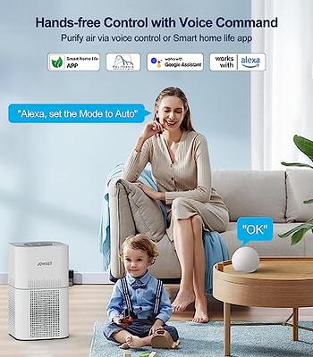 Air Purifier Home Large Room True HEPA Filter Air Cleaner For Allergies Pet  Odor