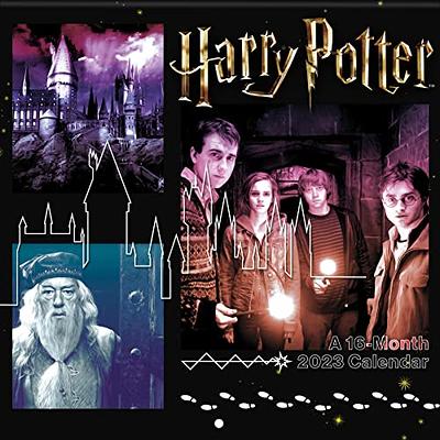 Trends International 2024 Harry Potter 2024 Harry Potter Wall Calendar &  Magnetic Frame