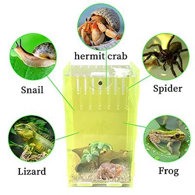 Reptile Terrarium Tank Tarantula Enclosure Insect Habitat Lizard Hermit  Insect