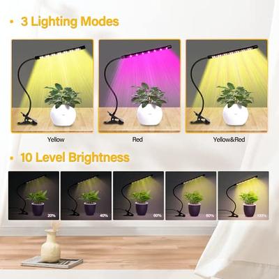 LBW Grow Light for Indoor Plants, Full Spectrum Desk LED Plant Light, Small  Grow Lamp with On/Off Switch, Height Adjustable, Flexible Gooseneck, Ideal