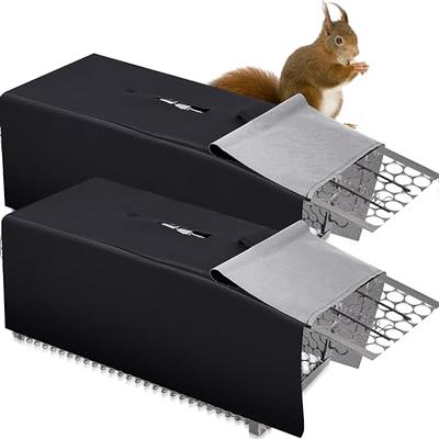 KOCASO Large Live Animal Trap Cage, Foldable Heavy Duty Humane Rat Trap for  Indoor and Outdoor, Metal Mouse Trap for Squirrel Gopher Chipmunk Mice