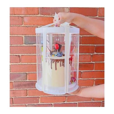 Sweet Vision Rectangle Clear Plastic Cupcake Box - with Handle