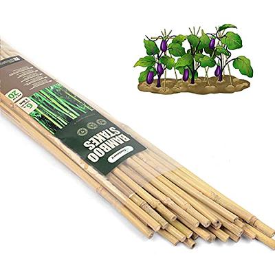 Gardener's Blue Ribbon 6-ft Bamboo Stake 6-Pack Natural | BB6N