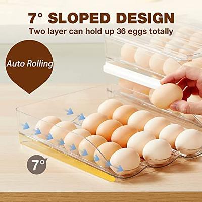 2 Layer Egg Container for Refrigerator, U-shaped Egg Holder for  Refrigerator, Stackable Egg Storage Container for Refrigerator, Clear  Plastic