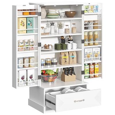 HOMCOM 41 Kitchen Pantry, Modern 2-Door Kitchen Storage Cabinet with  5-tier Shelving, 12 Spice Racks and Adjustable Shelves, Gray