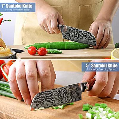 Professional Kitchen Chef Knife Set, High-Carbon Stainless Steel Chef Knife  Set with Cover, 5 Piece Knifes set 