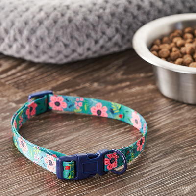 Vibrant Life Adjustable Nylon Dog Collar with D-Ring, Blue, Medium