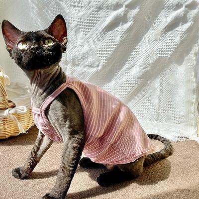 Pink Sphynx Sweater, Pink Clothes, Cat Sweater For Cat, Sphynx - Yahoo  Shopping