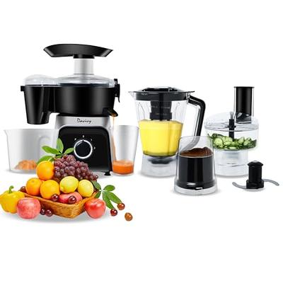 .com: Ninja Storm Blender with 450 Watts Food & Drink Maker