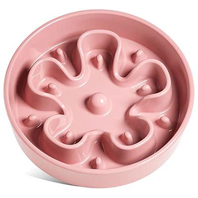 Pet Supplies : LE TAUCI PET Dog Slow Feeder Bowl Ceramic,3 Cups Puzzle Dog  Food Bowl for Small Medium Large Breed, Puppy Slow Feeder Bowl for Fast  Eater, Dog Bowls to Slow