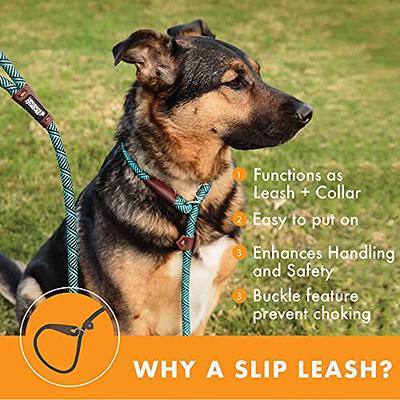 Brilliant Paw Slip Lead Dog Leash 6FT, Strong Braided Training Dog Lead,  Comfortable Padded Handle and Highly Reflective Threads, Durable Walking  Slip