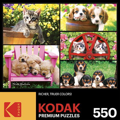 Kodak Premium 3000 piece jigsaw puzzle Kittens by the Fireplace -  Cra-Z-Art Shop