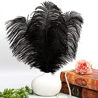 Piokio 20 pcs Natural Black Ostrich Feathers Plumes 8-10 inch(20-25 cm)  Bulk for DIY Halloween Decorations Wedding Party Centerpieces Gatsby  Decorations Black 8-10