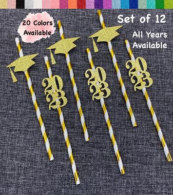 Class Of 2024 Graduation Party Straws Decoration