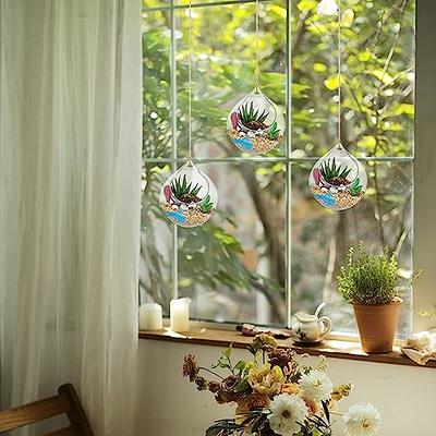 Buy 16-Pack Acrylic Hanging Globe, Air and Tillandsia Holder