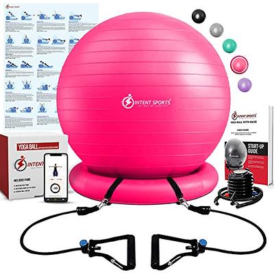 ZELUS 23 Inch Yoga Balance Ball Trainer with Resistance Bands for Yoga  Fitness Strength Exercise Workout,Pink 