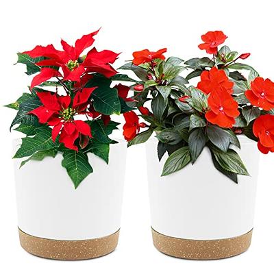 WOUSIWER 16 Pack 6 inch Plastic Planters for Indoor Flower Pots, Heavy Duty  and Stylish 6 Inch Plant Pots for Indoor Plants with Drainage Holes and  Tray for Plants, Flowers, Black - Yahoo Shopping