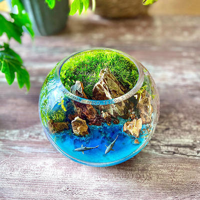 Large Blue Lagoon Terrarium - Glass - Resin - Handmade Art - Yahoo Shopping