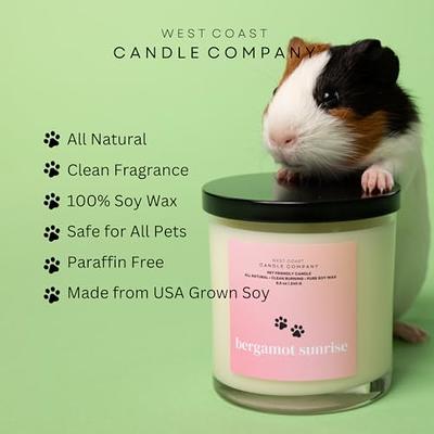 Pet Friendly Wax Melt | Pet Safe Wax Melt | All Natural Wax Melt |  Non-Toxic Wax Melt | Pet Odor Eliminator | Pure Soy Wax Melts | Dog & Cat  Safe Wax