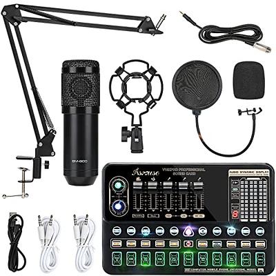 Podcast Equipment Bundle, SINWE Condenser Microphone with Tripod Stand and  Professional Audio Mixer for Studio Recording Vocals, Voice Overs