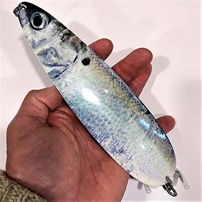 Offshore Trolling Tackle for Salmon Walleye and Striped Bass from