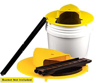 RINNETRAPS Flip N Slide Multi Catch Mouse Traps in the Animal & Rodent  Control department at