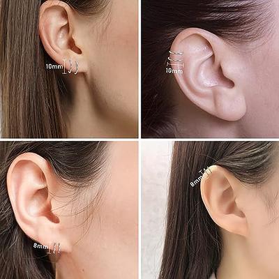 Double Hoop Helix Earring Silver