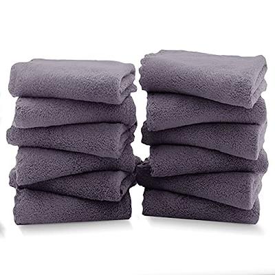 kimteny Machine Washable Coral Velvet Dish Towels, 12-Pack