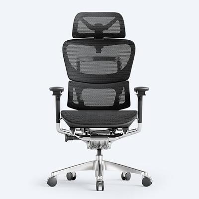 OdinLake Ergonomic Office Chair Mesh,Seat Depth Adjustable Home Office Desk Chairs High Back with Lumbar Support,Computer Swivel Task Chair with