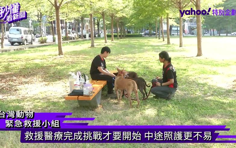 台灣動物緊急救援小組