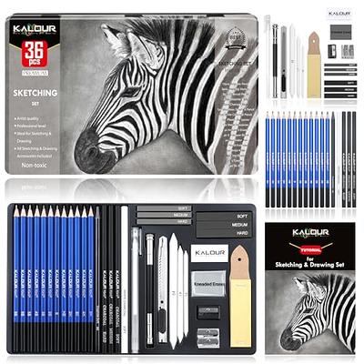 Heshengping, Sketching Pencil Set Drawing Pen Charcoal Sketch Kit Cover Graphite Pencils Charcoal Pencils Watercolor Pencils Paper Erasable Pen