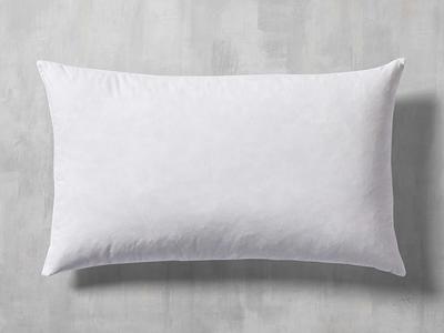 Decorative Pillow Insert 22 x 14 - Yahoo Shopping