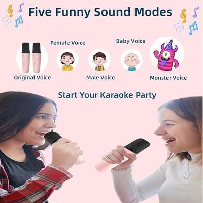 Portable Mini Karaoke Speaker with 2 wireless Mics – 8mm